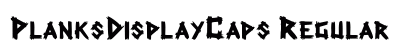 PlanksDisplayCaps Regular Preview