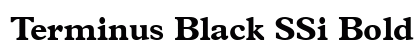 Terminus Black SSi Bold preview