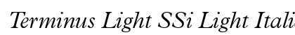 Terminus Light SSi Light Italic preview