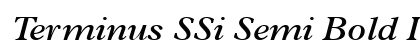 Terminus SSi Semi Bold Italic preview