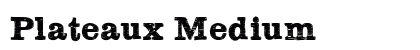 Plateaux Medium preview