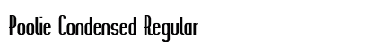 Poolie Condensed Regular Preview