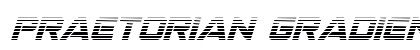 Praetorian Gradient Italic Italic preview