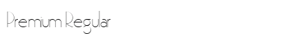 Premium Regular Font