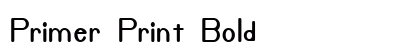 Primer Print Bold preview