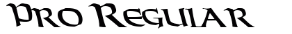 Pro Regular preview