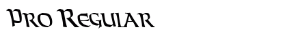 Pro Regular preview