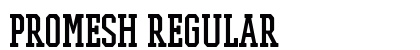 PROMESH Regular preview