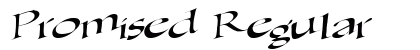 Promised Regular preview