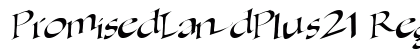 PromisedLandPlus21 Regular preview