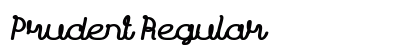 Prudent Regular preview