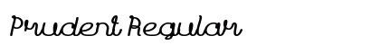 Prudent Regular preview