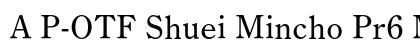 A P-OTF Shuei Mincho Pr6 M preview