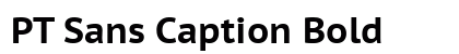 PT Sans Caption Bold preview
