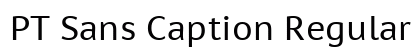 PT Sans Caption Regular Preview