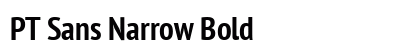 PT Sans Narrow Bold preview