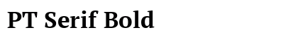 PT Serif Bold preview