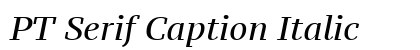 PT Serif Caption Italic preview