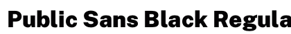 Public Sans Black Regular preview