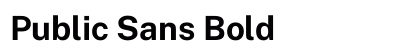 Public Sans Bold preview