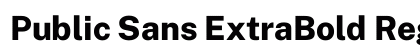 Public Sans ExtraBold Regular preview