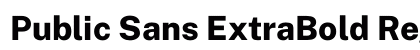 Public Sans ExtraBold Regular preview