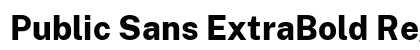 Public Sans ExtraBold Regular preview