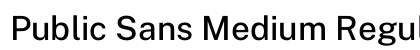 Public Sans Medium Regular preview