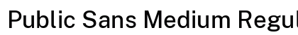Public Sans Medium Regular preview