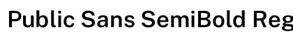 Public Sans SemiBold Regular preview