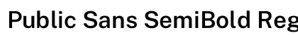 Public Sans SemiBold Regular preview
