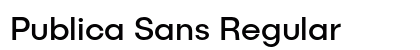Publica Sans Regular preview