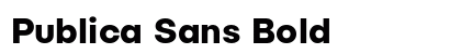 Publica Sans Bold preview