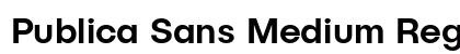 Publica Sans Medium Regular preview