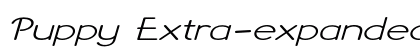 Puppy Extra-expanded Italic preview