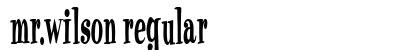 Mr.Wilson Regular preview