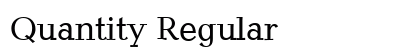 Quantity Regular preview