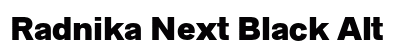 Radnika Next Black Alt Preview