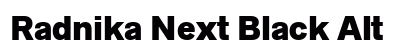 Radnika Next Black Alt Preview