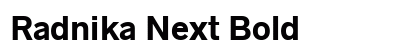 Radnika Next Bold preview