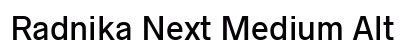 Radnika Next Medium Alt Preview
