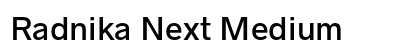 Radnika Next Medium preview