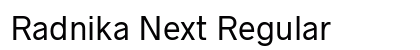 Radnika Next Regular Preview