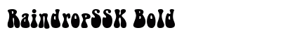 RaindropSSK Bold preview