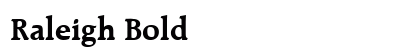 Raleigh Bold preview