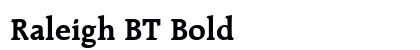 Raleigh BT Bold preview