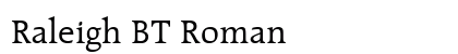 Raleigh BT Roman Preview