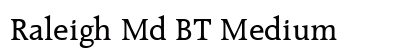 Raleigh Md BT Medium preview