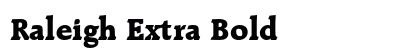 Raleigh Extra Bold Preview