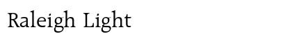 Raleigh Light Preview